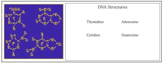 银河信标 - 第七部分，DNA 四种碱基